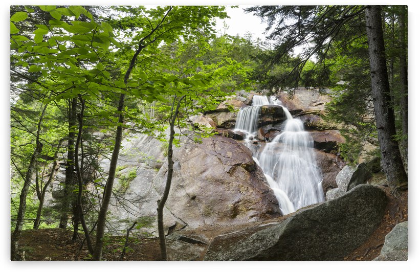 Harvard Brook - Lincoln New Hampshire by ScenicNH Photography