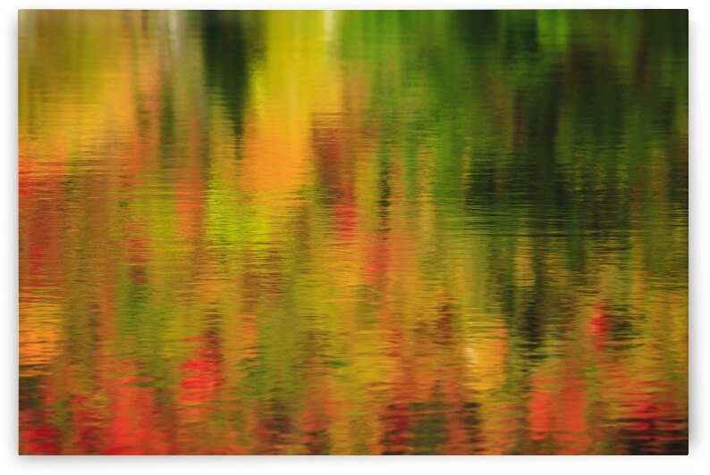 Wildlife Pond - Bethlehem  New Hampshire  by ScenicNH Photography