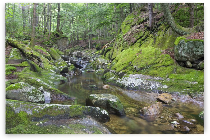 Walker Brook - Woodstock New Hampshire by ScenicNH Photography
