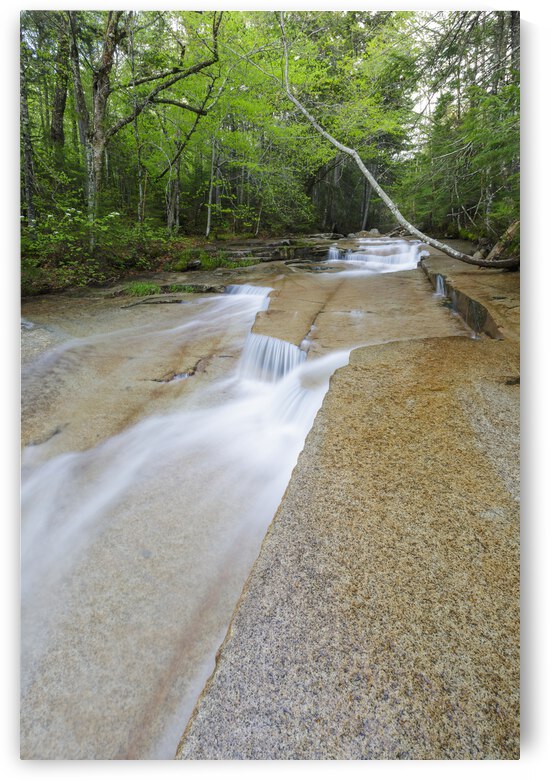 Walker Brook Cascades - Franconia Notch New Hampshire by ScenicNH Photography