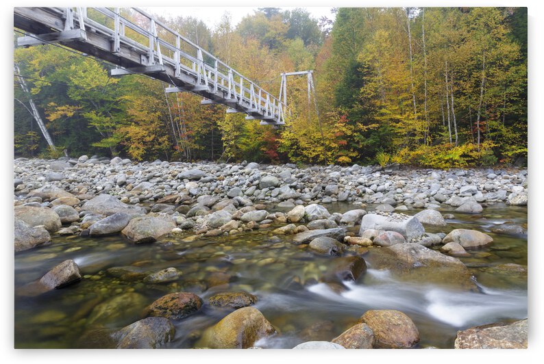 Great Gulf Trail - White Mountains New Hampshire by ScenicNH Photography