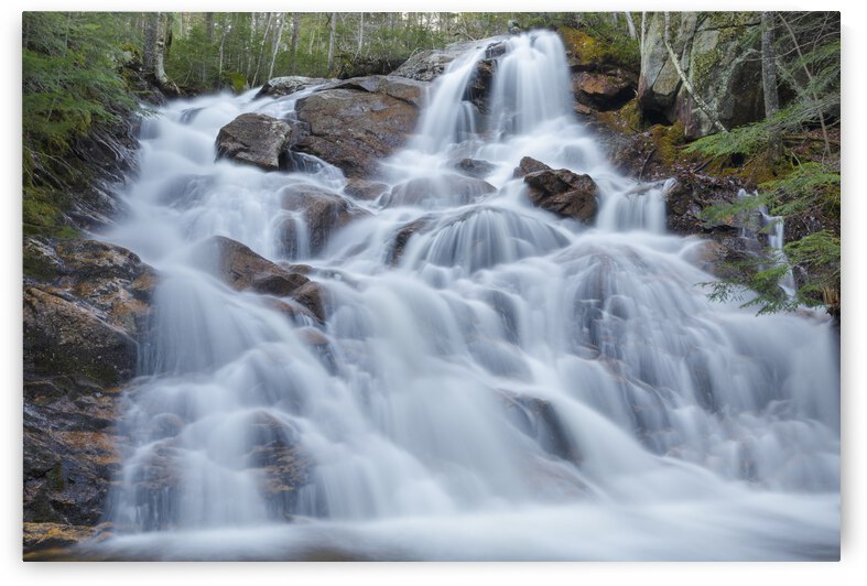 Birch Island Brook Falls - Lincoln New Hampshire by ScenicNH Photography