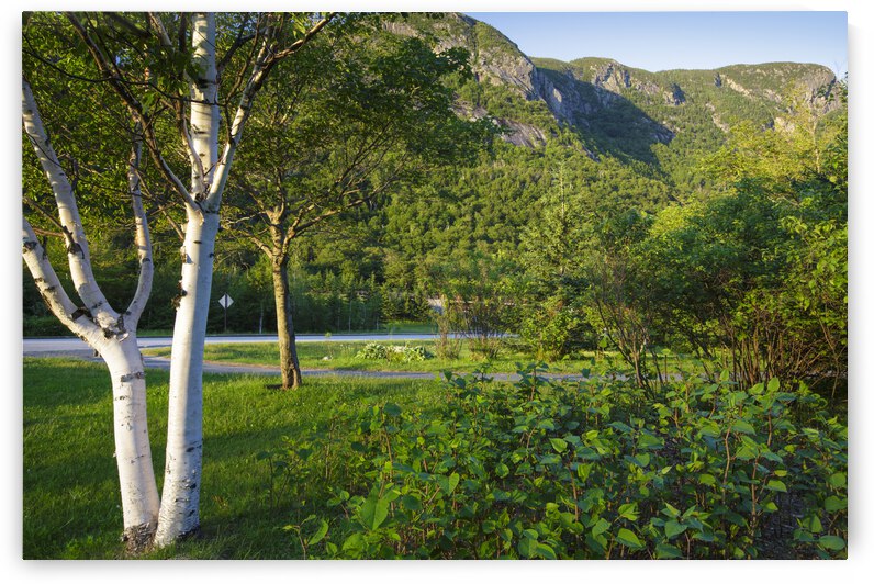 Eagle Cliff - Franconia Notch State Park New Hampshire by ScenicNH Photography