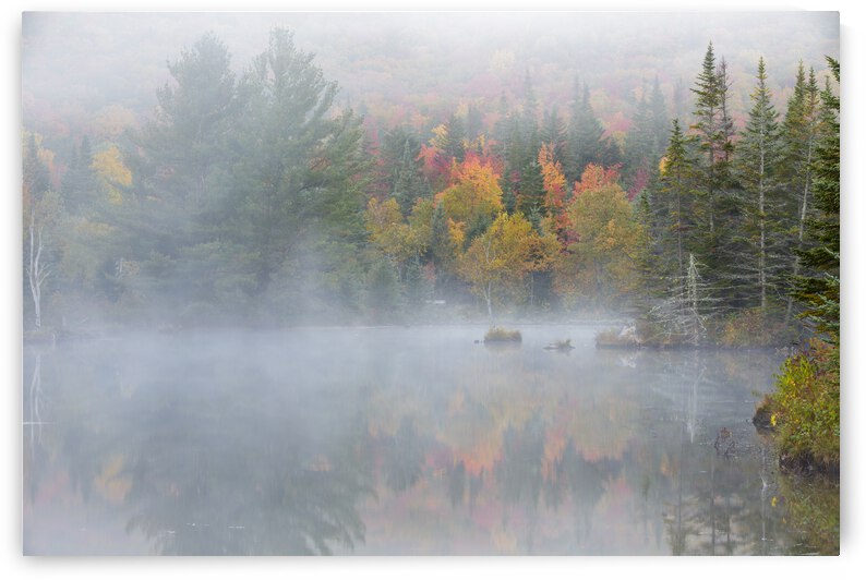 Wildlife Pond - Bethlehem New Hampshire by ScenicNH Photography