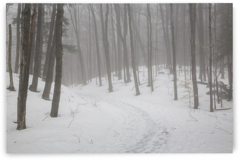 Flume Gorge - Lincoln New Hampshire by ScenicNH Photography