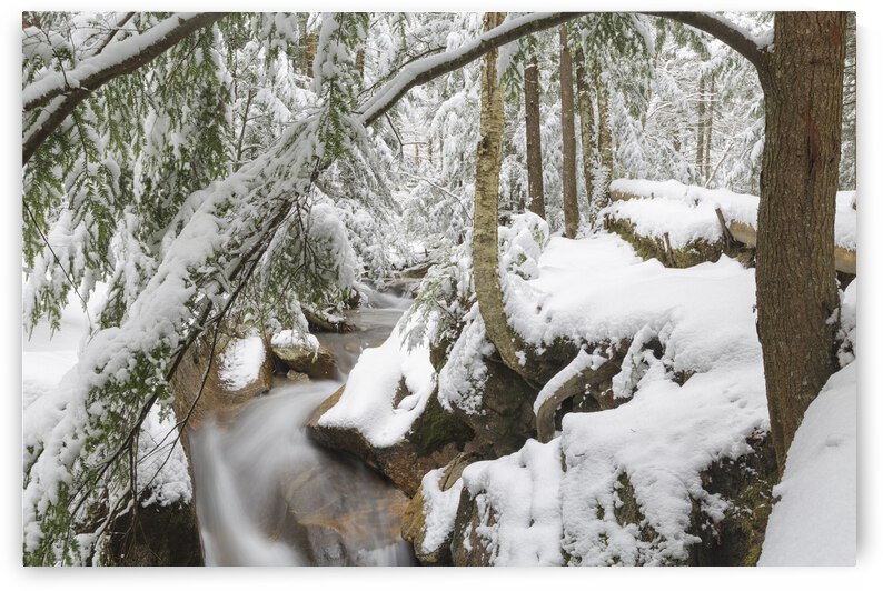 Pemigewasset River - Franconia Notch State Park New Hampshire by ScenicNH Photography