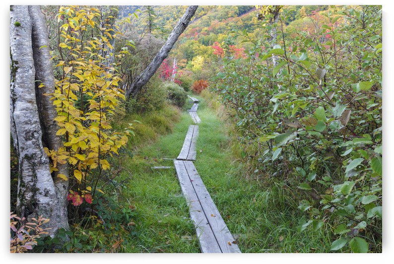 Echo Lake - Franconia Notch New Hampshire by ScenicNH Photography