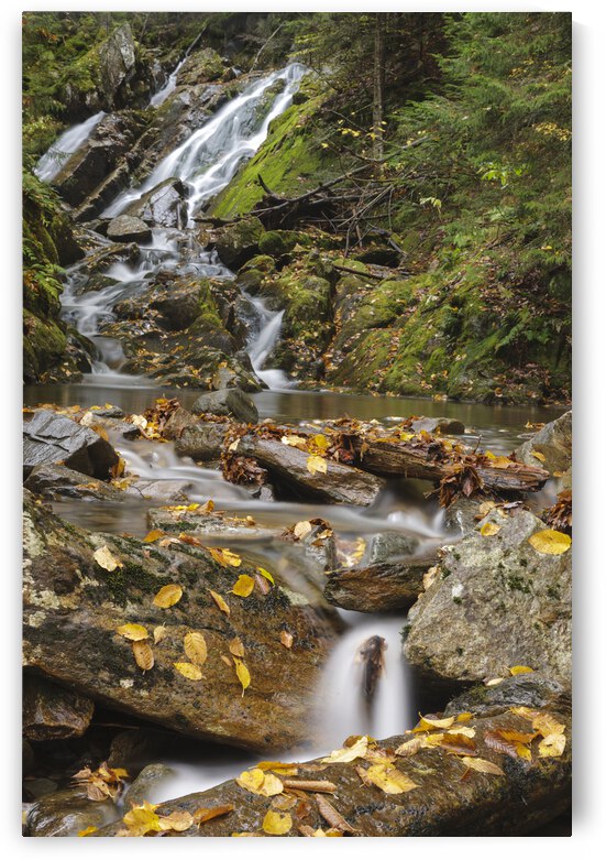 Huntington Cascades - Dixville Notch New Hampshire by ScenicNH Photography