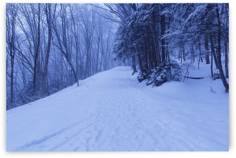 Franconia Notch - White Mountains New Hampshire by ScenicNH Photography