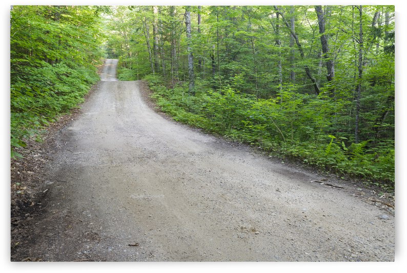 Sandwich Notch Road - Sandwich New Hampshire  by ScenicNH Photography