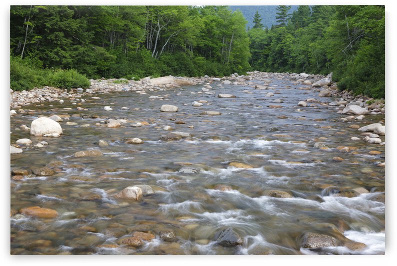 Swift River - White Mountains New Hampshire by ScenicNH Photography