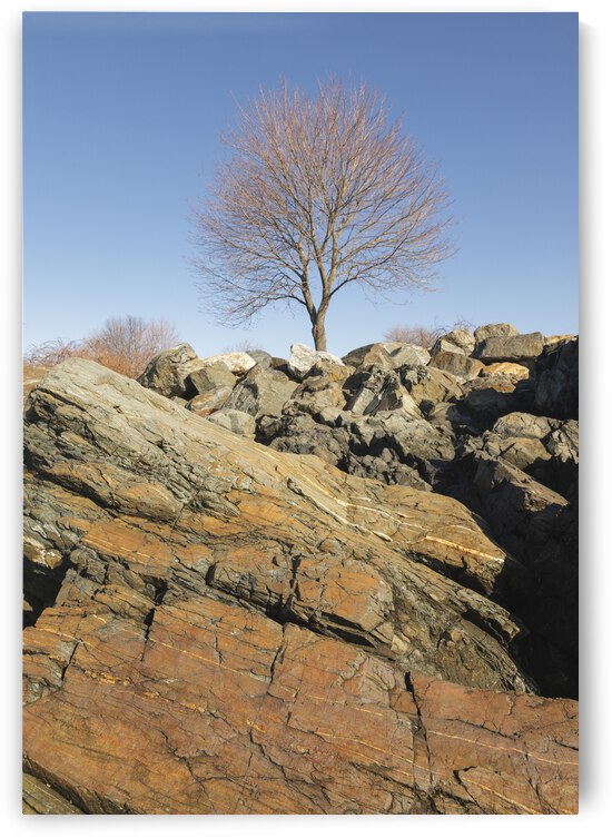 Great Island Common - New Castle New Hampshire by ScenicNH Photography