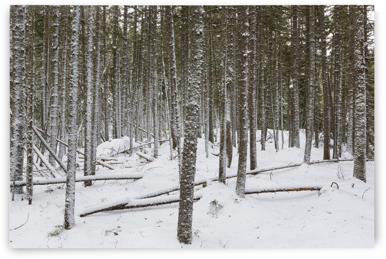 Crawfords Purchase New Hampshire by ScenicNH Photography