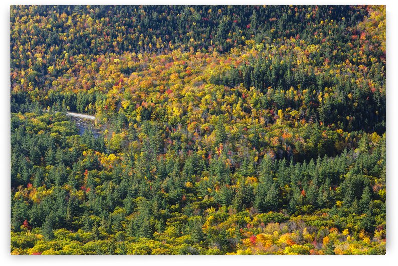 Boulder Loop Trail - White Mountains New Hampshire by ScenicNH Photography