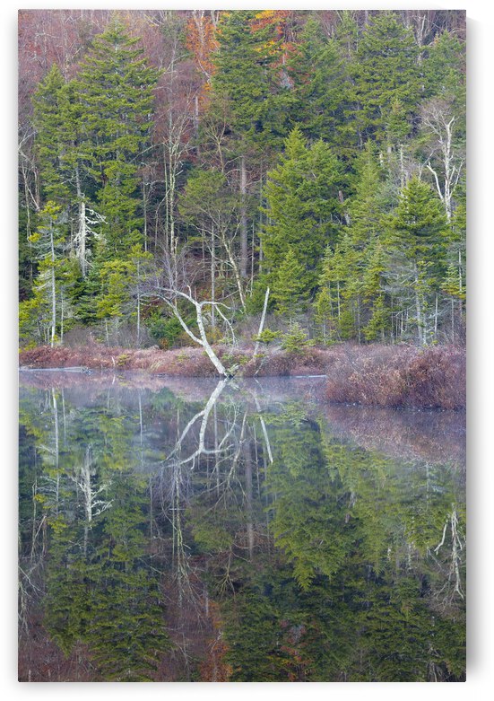 Upper Hall Ponds - Sandwich New Hampshire by ScenicNH Photography