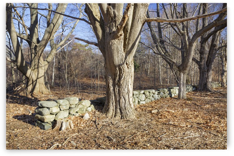 Odiorne Point State Park - Rye New Hampshire by ScenicNH Photography