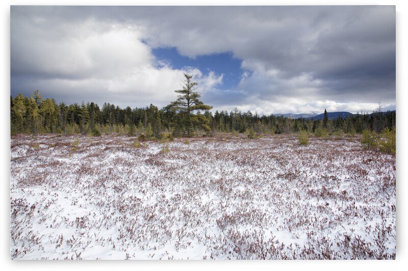 Church Pond - White Mountain National Forest  by ScenicNH Photography
