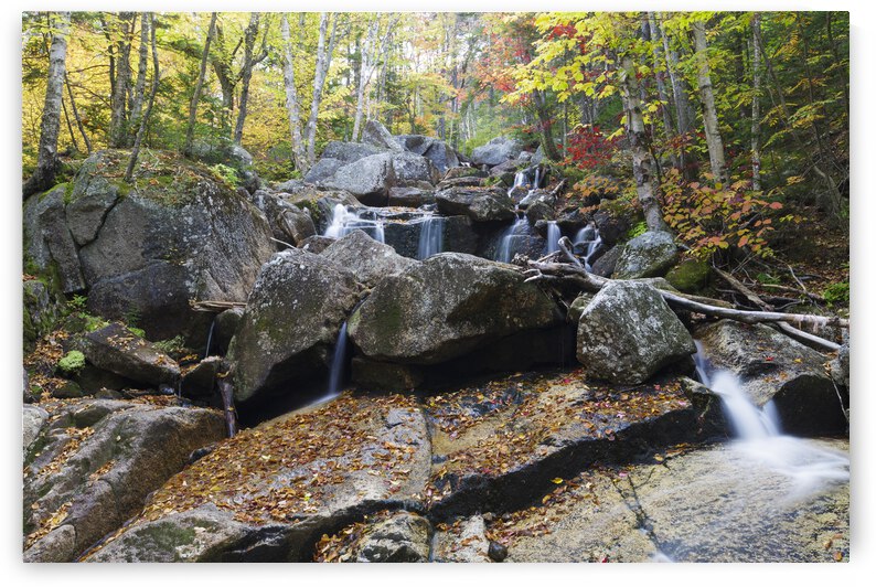 Whitewall Brook - Bethlehem New Hampshire by ScenicNH Photography