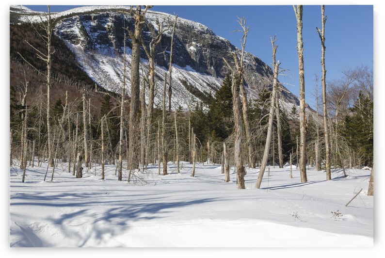 Pemi Trail - Franconia Notch White Mountains by ScenicNH Photography