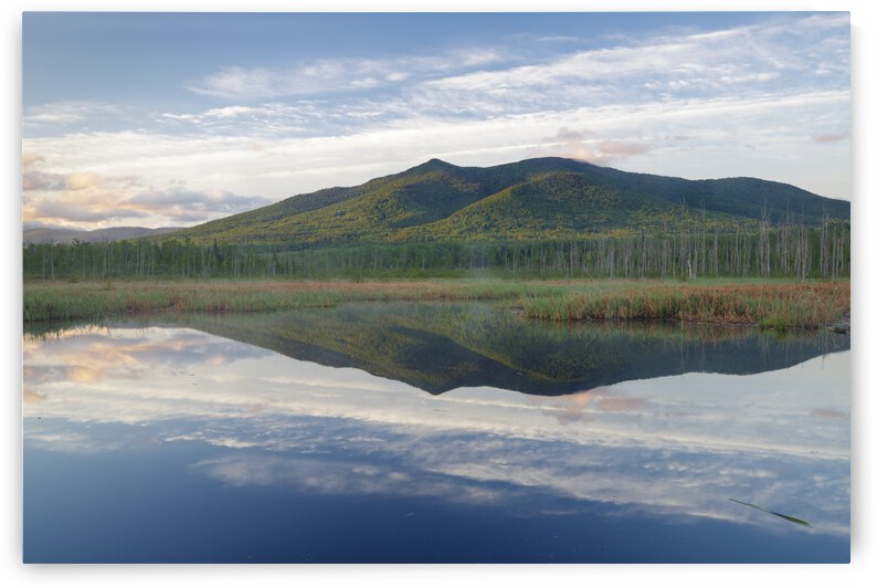 Cherry Mountain - Moorhen Marsh Pondicherry Wildlife Refuge by ScenicNH Photography