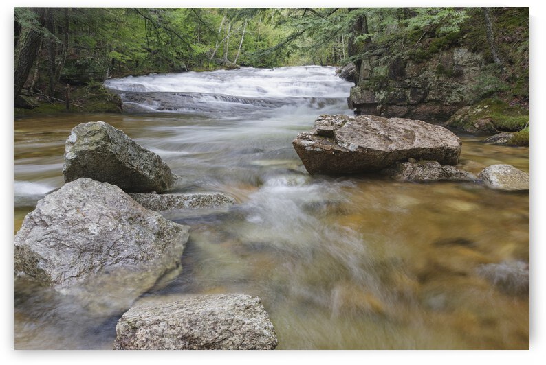 Bartlett Experimental Forest - Bartlett New Hampshire by ScenicNH Photography