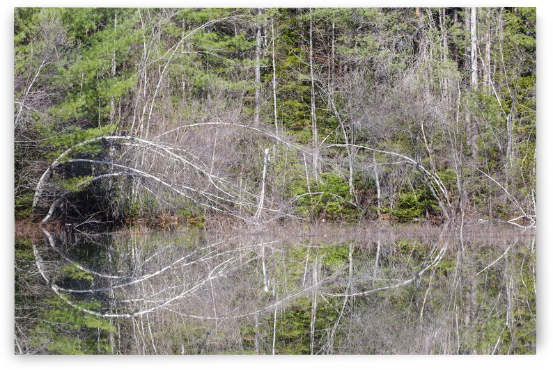 Kancamagus Highway - White Mountains New Hampshire by ScenicNH Photography