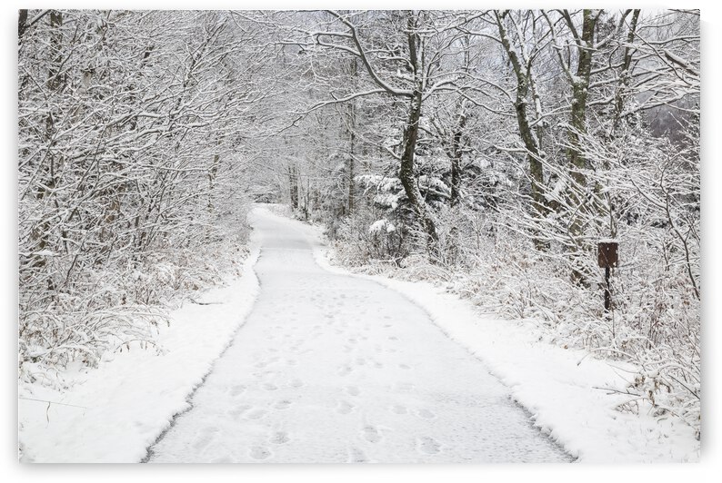 Franconia Bike Path - Franconia Notch New Hampshire by ScenicNH Photography