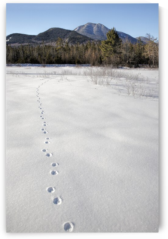 Mount Passaconaway - Albany New Hampshire by ScenicNH Photography