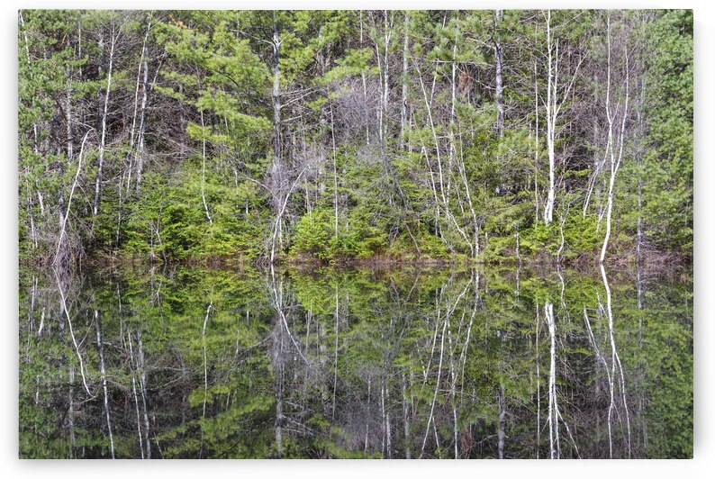 Kancamagus Highway - White Mountains New Hampshire by ScenicNH Photography