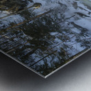 Kinsman Falls - Franconia Notch State Park New Hampshire Metal print