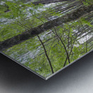 Crooked Brook - North Woodstock New Hampshire Metal print