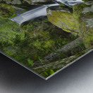 Cold Brook - Low and Burbanks Grant New Hampshire Metal print