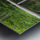 Randolph Path - Low and Burbanks Grant New Hampshire Metal print