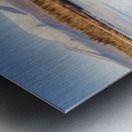 Presidential Range - Pondicherry Wildlife Refuge New Hampshire Metal print