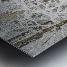 Lincoln Woods Trail - White Mountains New Hampshire Metal print