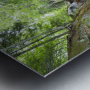 Kinsman Notch - North Woodstock New Hampshire  Metal print