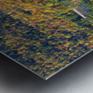 Boulder Loop Trail - White Mountains New Hampshire Metal print