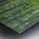 Osseo Trail - White Mountains New Hampshire Metal print