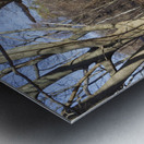 Odiorne Point State Park - Rye New Hampshire Metal print