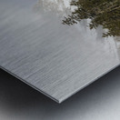 Pemi Trail - Franconia New Hampshire Metal print