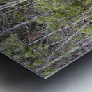 Kancamagus Highway - White Mountains New Hampshire Metal print