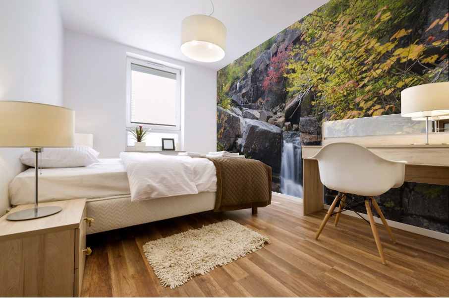 Zealand Falls - Bethlehem New Hampshire Mural print