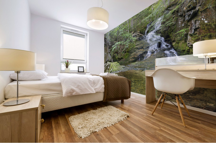 Tama Fall - Randolph New Hampshire  Mural print