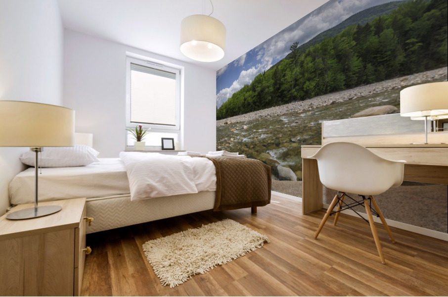 East Branch of the Pemigewasset River - Lincoln New Hampshire Mural print