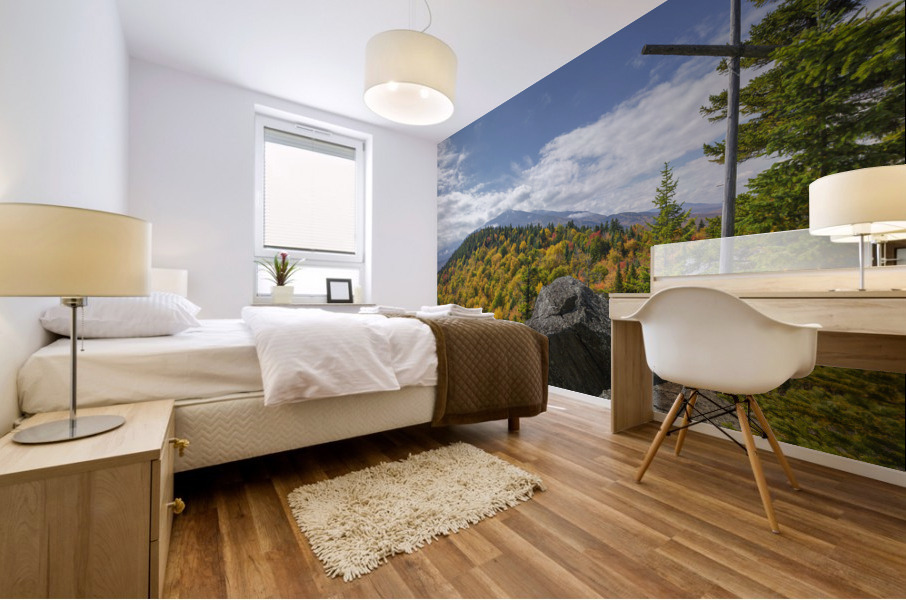 Chapel Rock - Pine Mountain New Hampshire Mural print