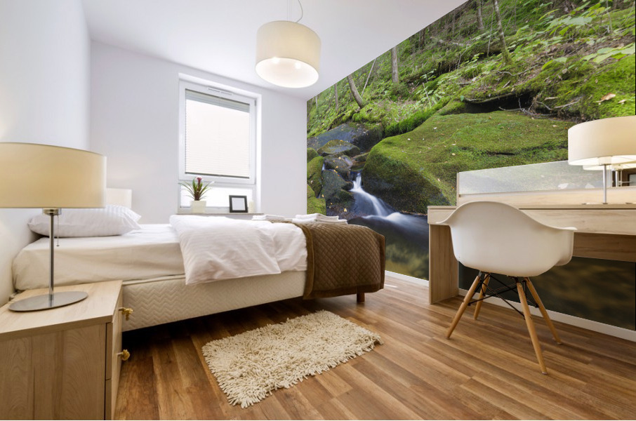 Scarface Brook - Bethlehem New Hampshire Mural print