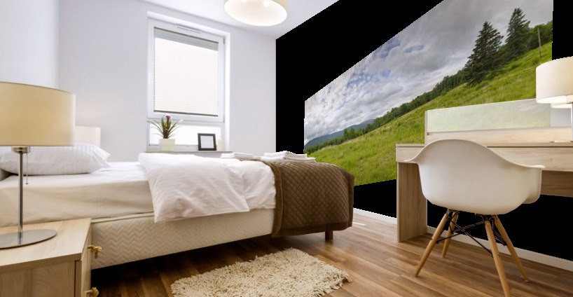 Breezy Point - Warren New Hampshire Mural print