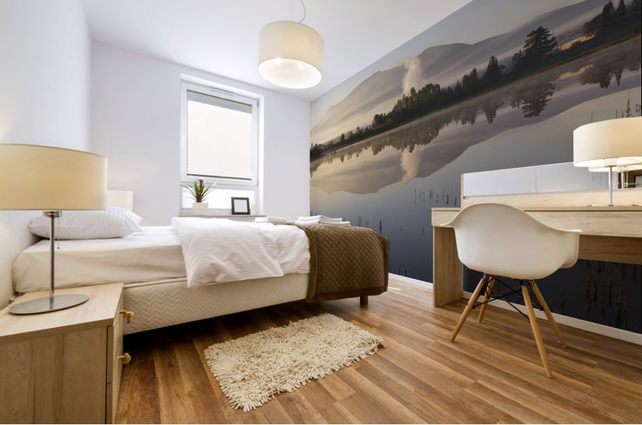 Airport Marsh  - Whitefield New Hampshire Mural print