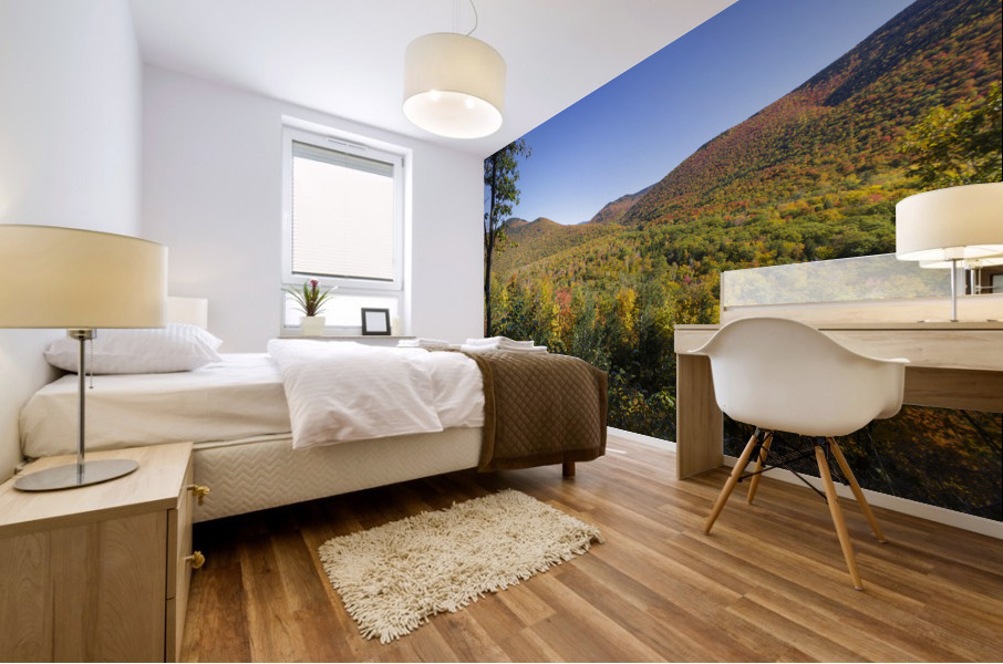 Crawford Notch - Harts Location New Hampshire Mural print