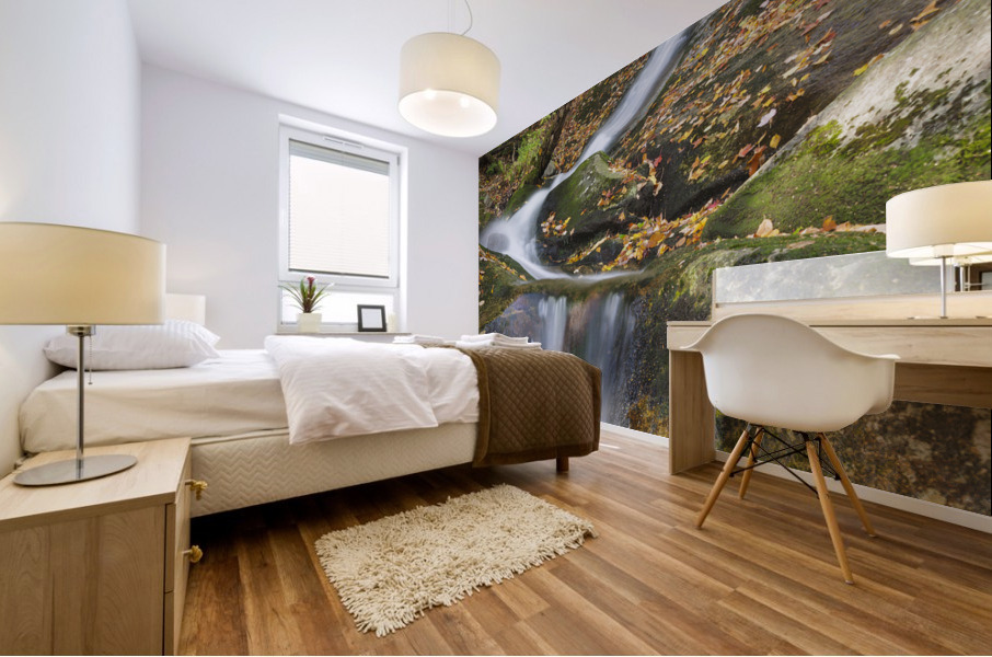 Clough Mine Brook - Kinsman Notch New Hampshire Mural print